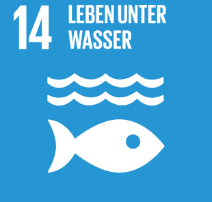 Das Eisschollenspiel