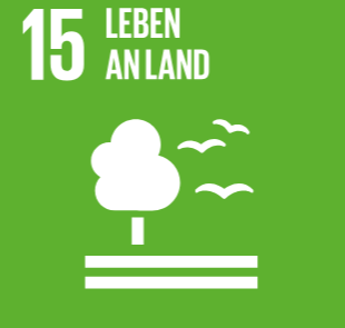 Das Eisschollenspiel